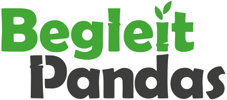 Begleitpandas – Pflege & Betreuung Logo